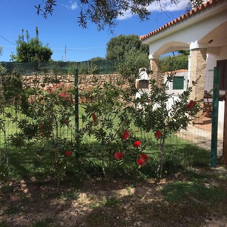 Azienda Multifunzionale S'Ozastro مارينيلاّ المظهر الخارجي الصورة