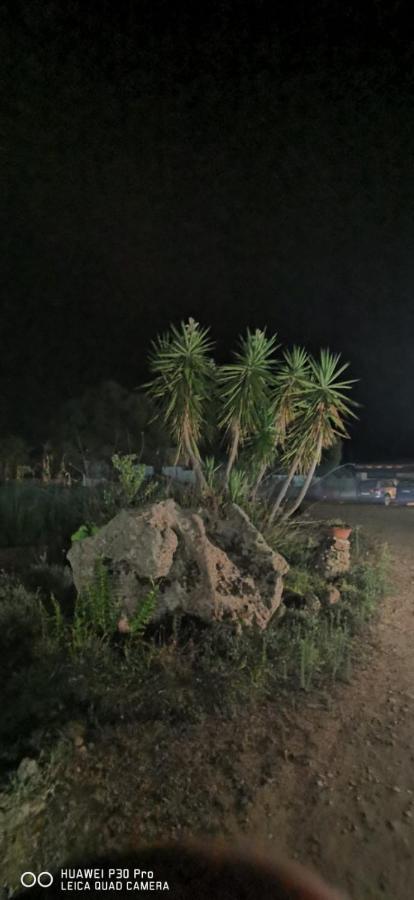 Azienda Multifunzionale S'Ozastro مارينيلاّ المظهر الخارجي الصورة
