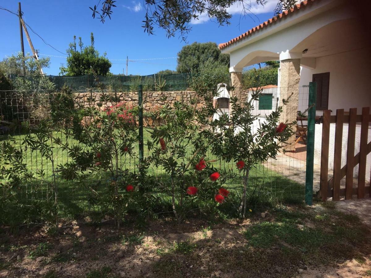 Azienda Multifunzionale S'Ozastro مارينيلاّ المظهر الخارجي الصورة